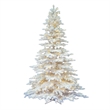 Vickerman 78