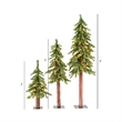 Vickerman 2/3/4' Natural Alpine Artificial Christmas Trees in Green (Set of 3)