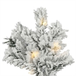 Vickerman 66