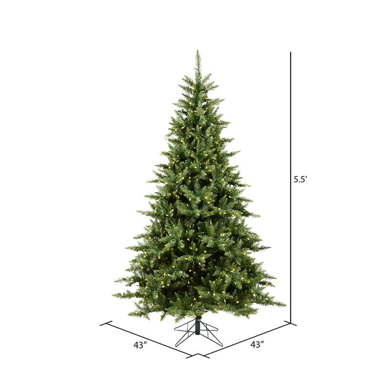 Vickerman 66