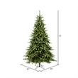 Vickerman 66