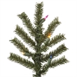 Vickerman 24