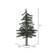 Vickerman 24