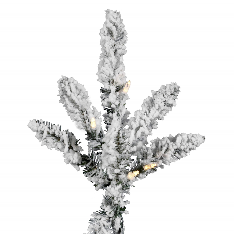 Vickerman 54