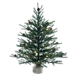 Vickerman 24