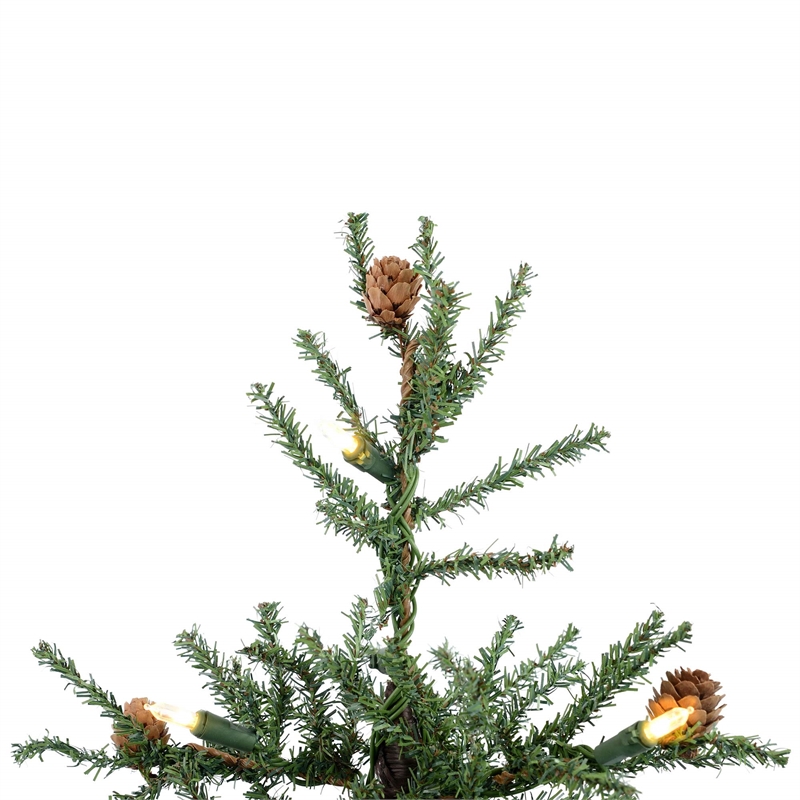 Vickerman 24