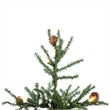Vickerman 24