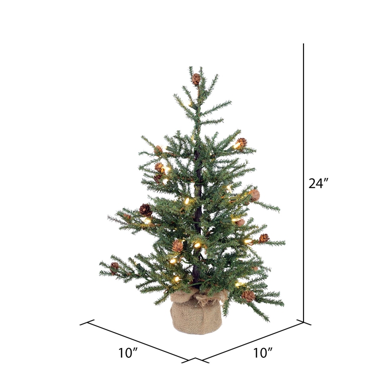Vickerman 24
