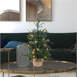 Vickerman 24