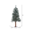 Vickerman 36
