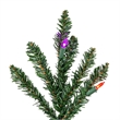 Vickerman 24