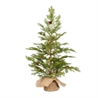 Vickerman 24