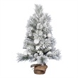 Vickerman 36
