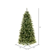 Vickerman 102