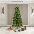 Vickerman 102