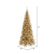 Vickerman 66