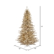 Vickerman 66