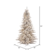 Vickerman 66
