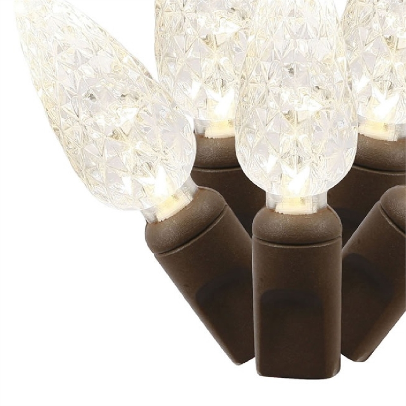Vickerman 25' Color Box Single Cast C6 LED Christmas Light Set in Pure White