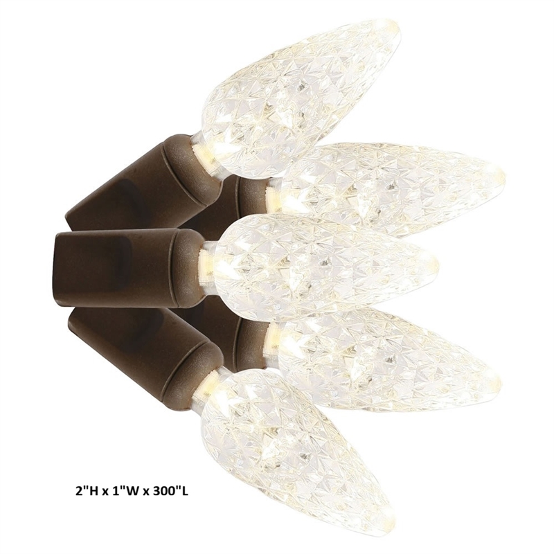 Vickerman 25' Color Box Single Cast C6 LED Christmas Light Set in Pure White