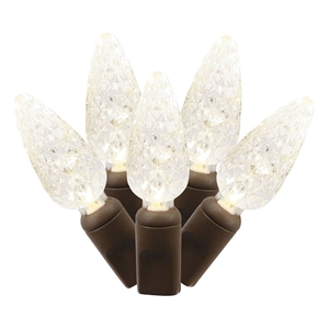 Vickerman 25' Color Box Single Cast C6 LED Christmas Light Set in Pure White