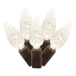 Vickerman 25' Color Box Single Cast C6 LED Christmas Light Set in Pure White