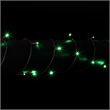 Vickerman 25' Brown Wire Non-Rectified LED Christmas Light Strand in Green