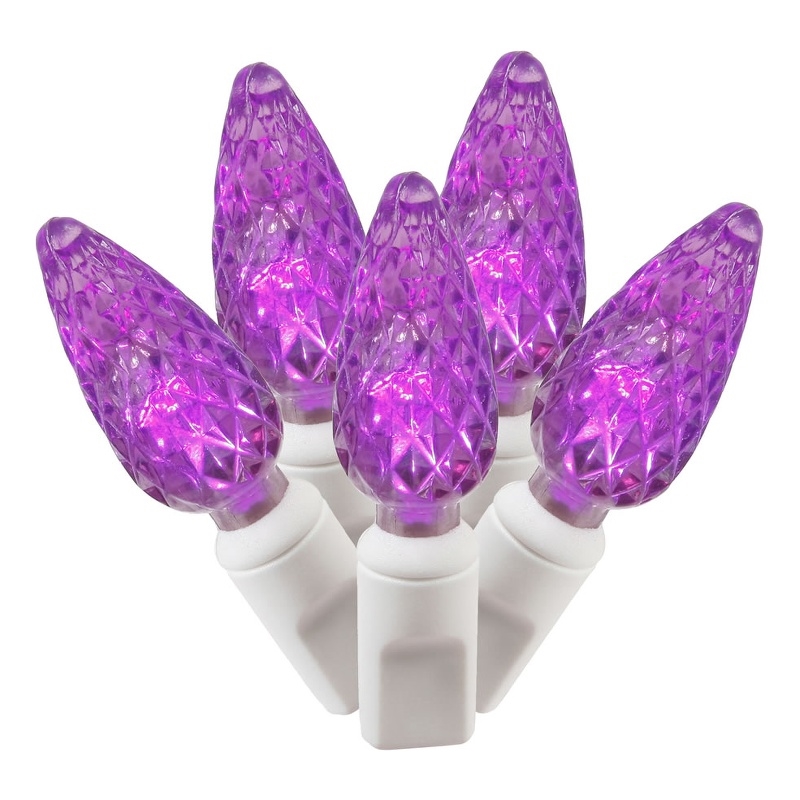 Vickerman 34' Color Box C6 LED Christmas Light Set in Purple