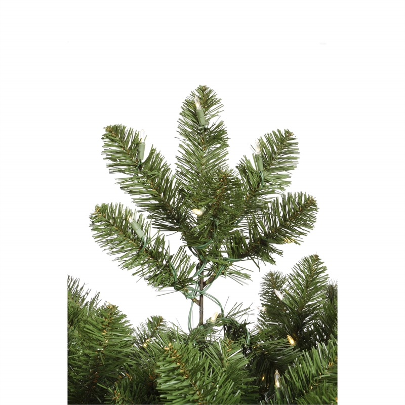 Vickerman 9'x14