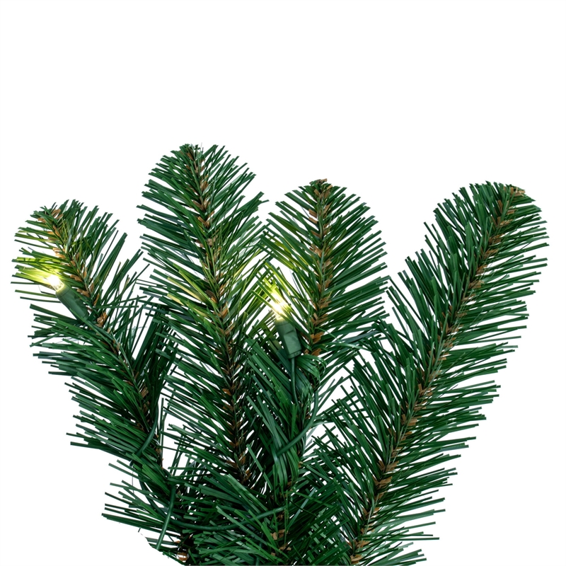 Vickerman 9'x24