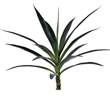 Vickerman 44