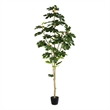 Vickerman 6' Contemporary Fabric Artificial Potted Fig Tree in Green