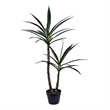 Vickerman 44