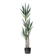 Vickerman 60