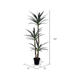 Vickerman 60
