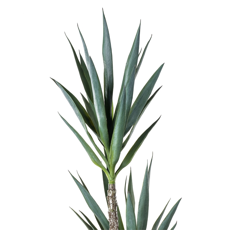 Vickerman 60