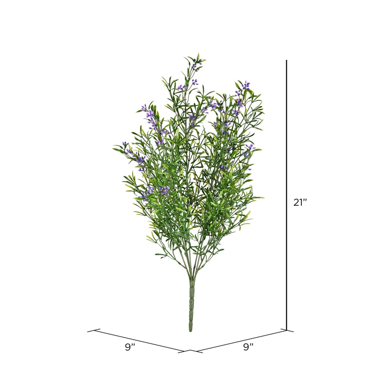 Vickerman 21