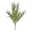 Vickerman 20