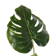 Vickerman 38