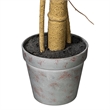 Vickerman 38