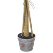 Vickerman 54