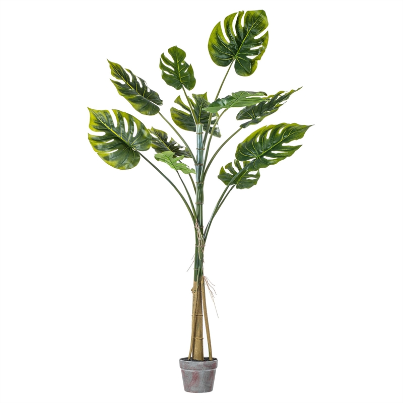 Vickerman 54