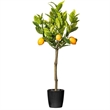 Vickerman 3' Artificial Green and Yellow Lemon Tree in Pot.