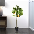 Vickerman 3' Artificial Green and Yellow Lemon Tree in Pot.