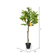 Vickerman 3' Artificial Green and Yellow Lemon Tree in Pot.