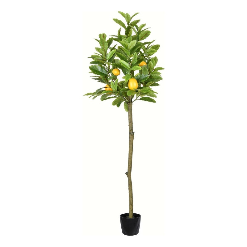 Vickerman 55