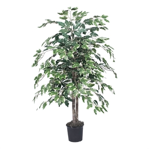 Vickerman 4' Artificial Variegated Ficus Bush with Black Pot in Green/White