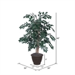 Vickerman 4' Artificial Sakaki Bush with Rattan Basket in Dark Green