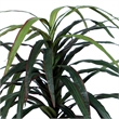 Vickerman 4' Artificial Marginata Bush with Rattan Basket in Dark Green