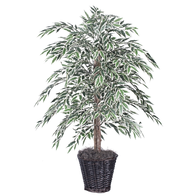 Vickerman 4' Artificial Variegated Smilax Bush with Rattan Basket in Green/White
